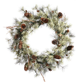 24" Unlit Dakota Artificial Christmas Wreath