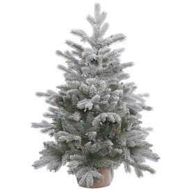 36" Unlit Frosted Sable Pine Artificial Christmas Tree without Lights