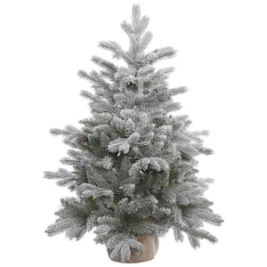 A156630 Holiday/Christmas/Christmas Trees