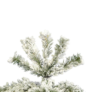 A100365 Holiday/Christmas/Christmas Trees