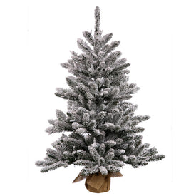 2.5' Pre-Lit Flocked Anoka Pine Artificial Christmas Tree with Warm White LED Lights