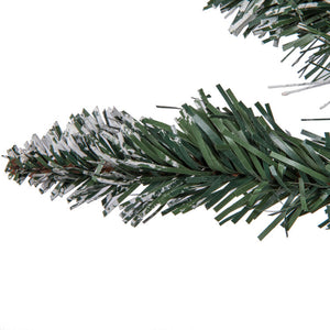 B166424 Holiday/Christmas/Christmas Trees