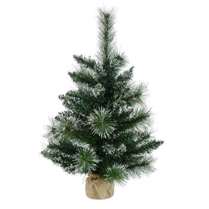 B166424 Holiday/Christmas/Christmas Trees