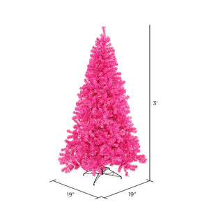 B981631 Holiday/Christmas/Christmas Trees