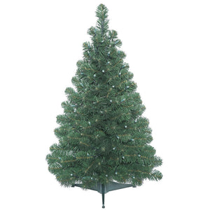 C164035 Holiday/Christmas/Christmas Trees
