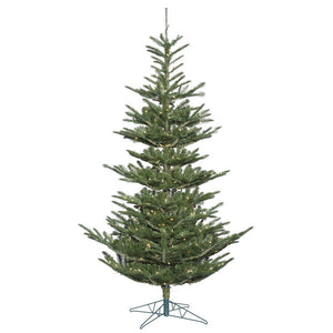 G160276 Holiday/Christmas/Christmas Trees