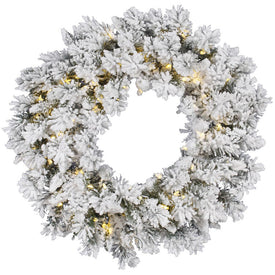 30" Pre-Lit Snow Ridge Flocked Artificial Christmas Wreath with 50 Warm White LED Lights