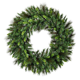 24" Pre-Lit Bangor Mixed Pine Wreath with 50 Clear Dura-Lit Mini Lights