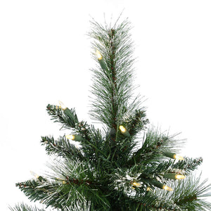 B166425LED Holiday/Christmas/Christmas Trees