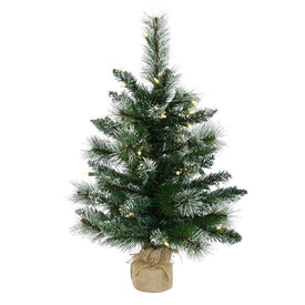 2' Pre-Lit Snow-Tipped Mixed Pine Artificial Christmas Tree with Warm White Dura-Lit LED Lights
