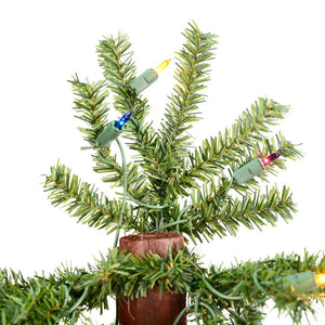 A805182 Holiday/Christmas/Christmas Trees