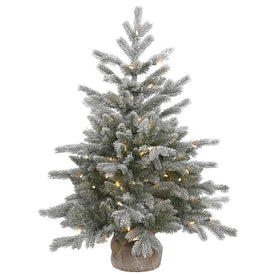 36" Pre-Lit Frosted Sable Pine Artificial Christmas Tree with Warm White Dura-Lit LED Lights