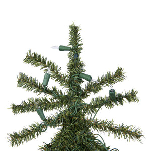A805151 Holiday/Christmas/Christmas Trees