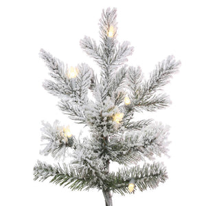 K173476LED Holiday/Christmas/Christmas Trees