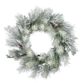30" Unlit Frosted Ansell Pine Artificial Wreath