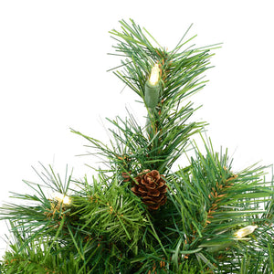 A801001LED Holiday/Christmas/Christmas Trees