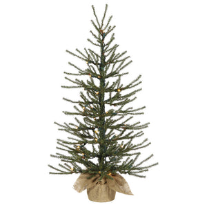 B165031 Holiday/Christmas/Christmas Trees