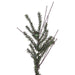 B167635 Holiday/Christmas/Christmas Trees