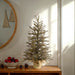 B167635 Holiday/Christmas/Christmas Trees