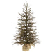 B167635 Holiday/Christmas/Christmas Trees