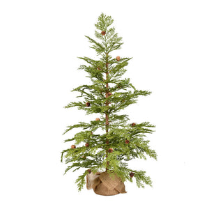 D190230 Holiday/Christmas/Christmas Trees