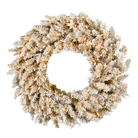 24" Pre-Lit Frosted Gold Fir Wreath with 50 Warm White Dura-Lit LED Lights