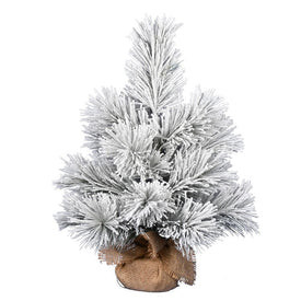2' Unlit Frosted Beckett Pine Artificial Christmas Tree