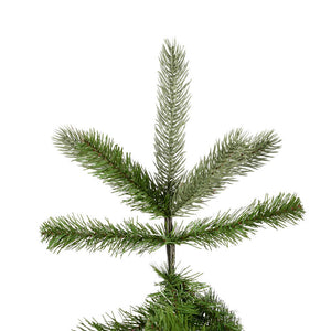 A124455 Holiday/Christmas/Christmas Trees