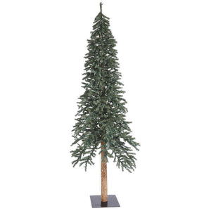 B907390 Holiday/Christmas/Christmas Trees