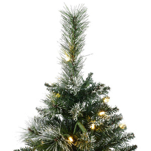 B166437LED Holiday/Christmas/Christmas Trees