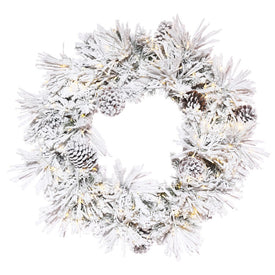 24" Pre-Lit Flocked Atka Wreath with Pine Cones and 150 Warm White Wide-Angle LED Lights