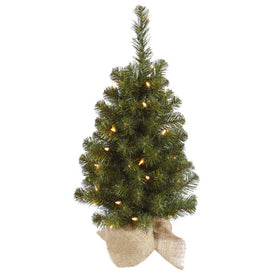 24" Felton Pine Artificial Christmas Tree with Clear Lights