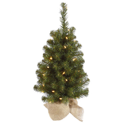 Product Image: A116025 Holiday/Christmas/Christmas Trees