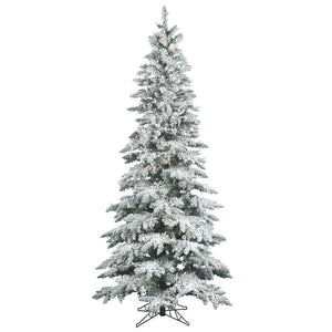 A895086 Holiday/Christmas/Christmas Trees