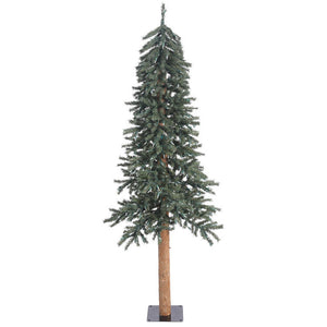 B907360 Holiday/Christmas/Christmas Trees
