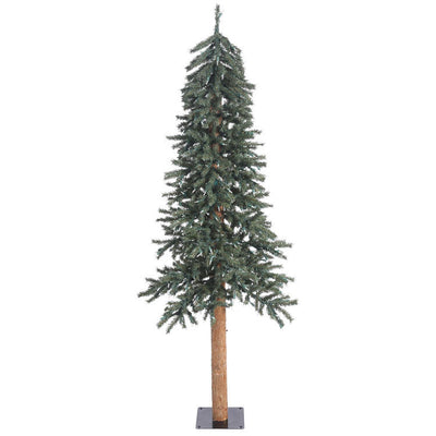 Product Image: B907360 Holiday/Christmas/Christmas Trees