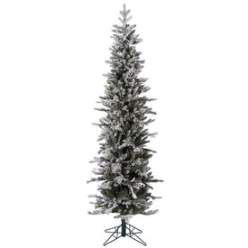 5' Pre-Lit Frosted Glitter Tannenbaum Pine Artificial Christmas Tree with Clear Dura-Lit Lights