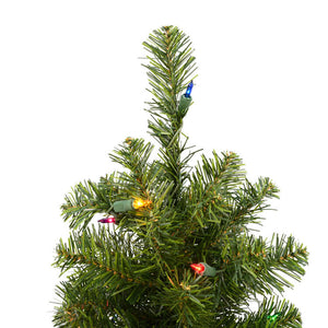 A116026 Holiday/Christmas/Christmas Trees