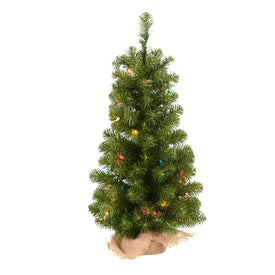 24" Felton Pine Artificial Christmas Tree with Multi-Colored Lights