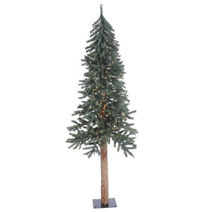 B907361 Holiday/Christmas/Christmas Trees