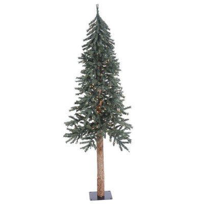 B907361 Holiday/Christmas/Christmas Trees