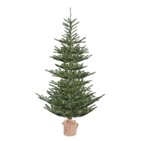 5' Pre-Lit Alberta Spruce Artificial Christmas Tree with Burlap Base and Clear Dura-Lit Lights
