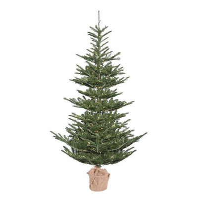 Product Image: G160251 Holiday/Christmas/Christmas Trees