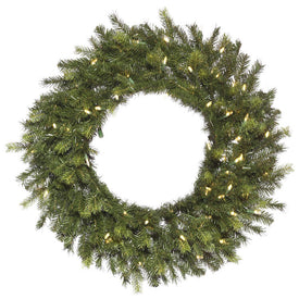 24" Pre-Lit Oak Frasier Fir Wreath with 50 Warm White Dura-Lit LED Lights
