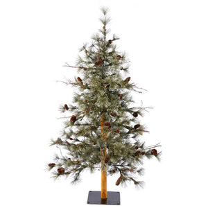 B165470 Holiday/Christmas/Christmas Trees