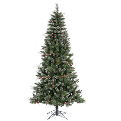 B166245 Holiday/Christmas/Christmas Trees