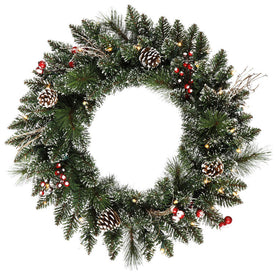 24" Pre-Lit Snow-Tipped Pine and Berry Artificial Christmas Wreath with 35 Warm White LED Lights