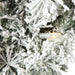 K173531LED Holiday/Christmas/Christmas Wreaths & Garlands & Swags