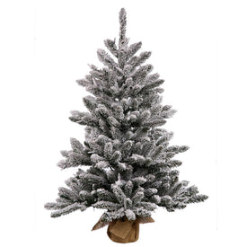 3.5' Unlit Flocked Anoka Pine Artificial Christmas Tree