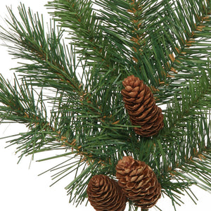 A801004 Holiday/Christmas/Christmas Trees
